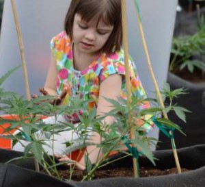 medical marijuana for children