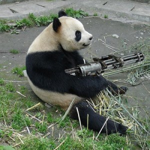 Panda with a gun