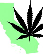 Will Prop 19's Legalization of Marijuana Lead to California's Downfall?