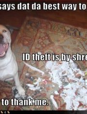 Tools And Tricks Of The Criminal Trade: How To Spot And Stop Identity Theft Tactics