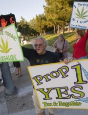 Why Prop 19 Failed And What Will Happen Now