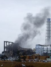 The Fukushima Nuclear Power Plant: Just Another Massive Toxic Tort Waiting To Happen