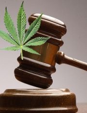 AZ Supreme Court Clears Path for Recreational Marijuana Initiative