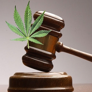 marijuana court gavel