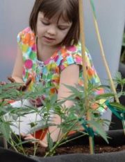 Medical Marijuana for Children with Life-Threatening Conditions