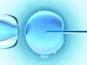 embryonic stem cell