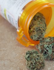 New York Legalizes Medical Marijuana (with Strings Attached)