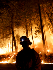 California Uses Prisoners to Fight Its Wildfires
