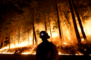 prisoners fight california wild fires
