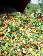 France’s Radical Food Waste Law Is Our Future