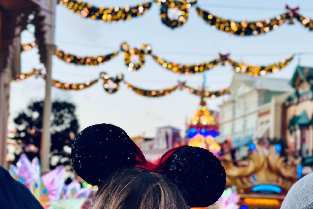 Crowd at Disneyland